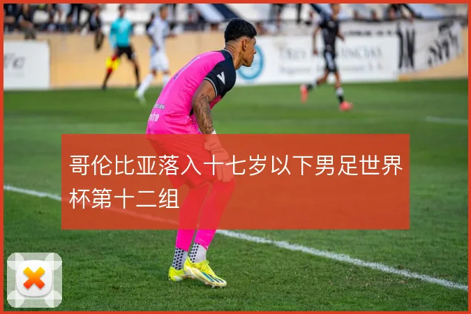 哥伦比亚落入十七岁以下男足世界杯第十二组